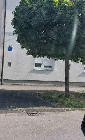 Apartments with WiFi Zagreb - 22767